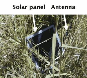 solar repeater in temporary placement