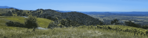view from Alexander Valley lookout