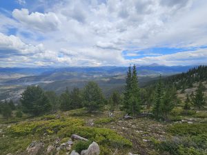 coverage view from ROY repeater